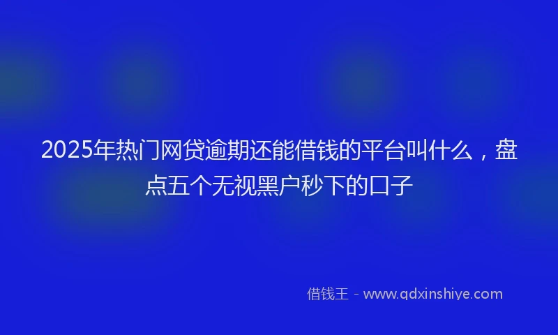 2025年热门网贷逾期还能借钱的平台叫什么，盘点五个无视黑户秒下的口子