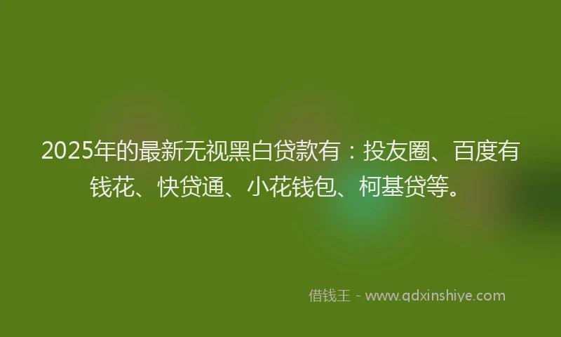 2025年的最新无视黑白贷款有：投友圈、百度有钱花、快贷通、小花钱包、柯基贷等。