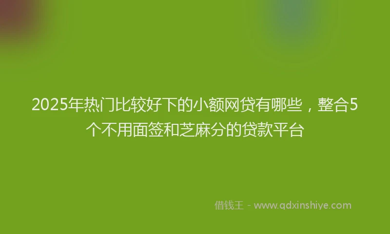 2025年热门比较好下的小额网贷有哪些，整合5个不用面签和芝麻分的贷款平台