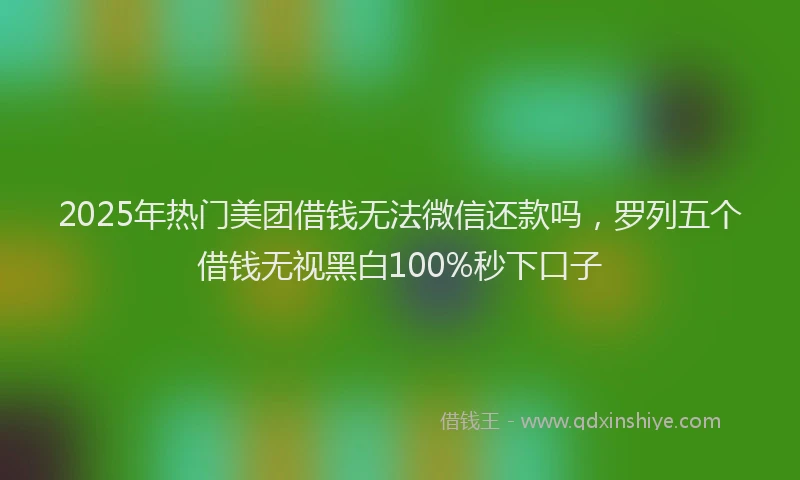 2025年热门美团借钱无法微信还款吗，罗列五个借钱无视黑白100%秒下口子