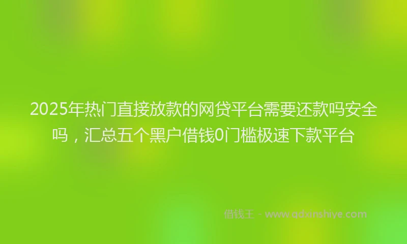 2025年热门直接放款的网贷平台需要还款吗安全吗，汇总五个黑户借钱0门槛极速下款平台