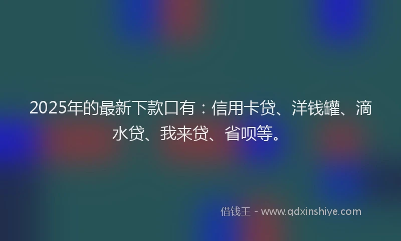2025年的最新下款口有：信用卡贷、洋钱罐、滴水贷、我来贷、省呗等。