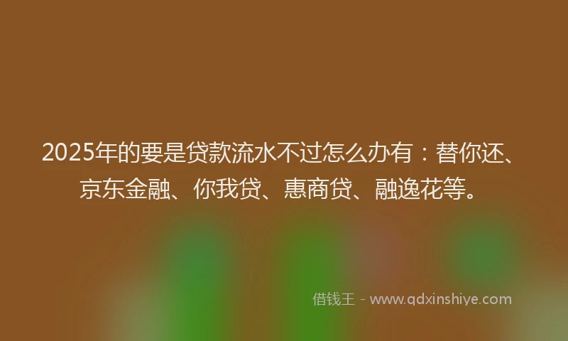 2025年的要是贷款流水不过怎么办有：替你还、京东金融、你我贷、惠商贷、融逸花等。