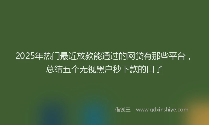 2025年热门最近放款能通过的网贷有那些平台，总结五个无视黑户秒下款的口子