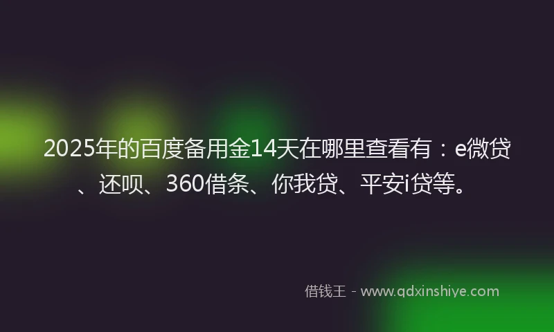 2025年的百度备用金14天在哪里查看有：e微贷、还呗、360借条、你我贷、平安i贷等。