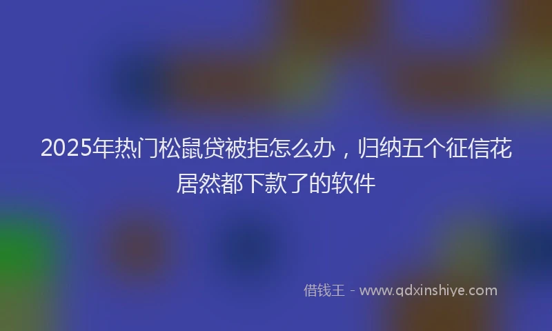 2025年热门松鼠贷被拒怎么办，归纳五个征信花居然都下款了的软件