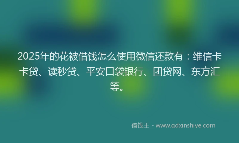 2025年的花被借钱怎么使用微信还款有：维信卡卡贷、读秒贷、平安口袋银行、团贷网、东方汇等。