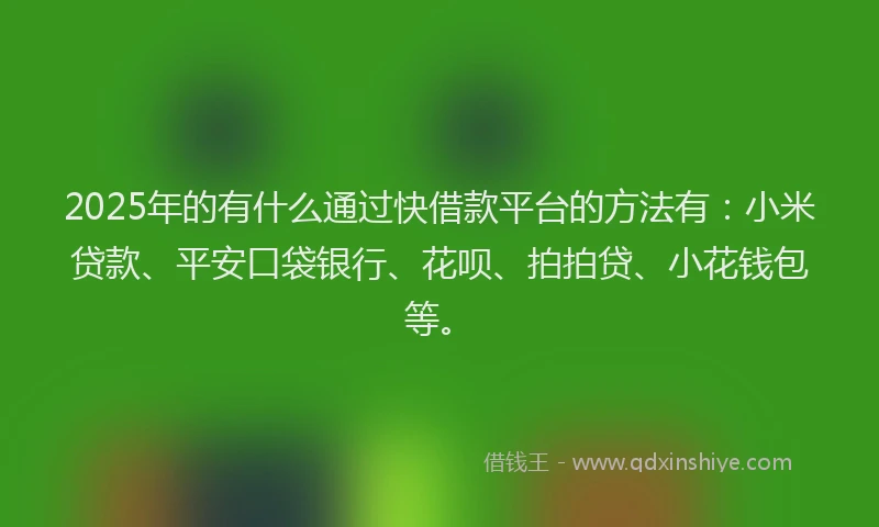 2025年的有什么通过快借款平台的方法有：小米贷款、平安口袋银行、花呗、拍拍贷、小花钱包等。