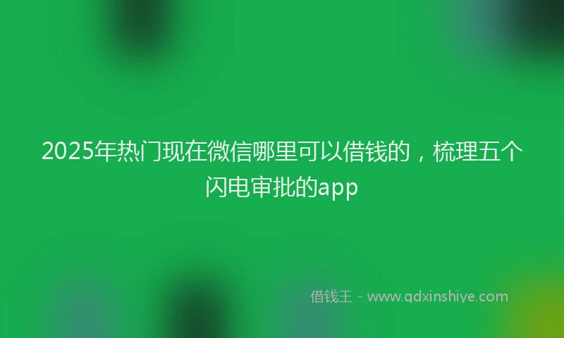2025年热门现在微信哪里可以借钱的，梳理五个闪电审批的app