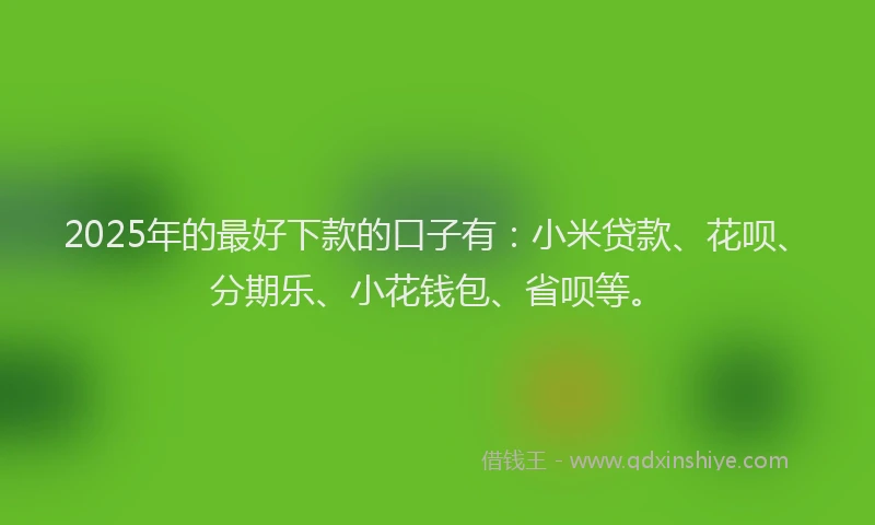 2025年的最好下款的口子有：小米贷款、花呗、分期乐、小花钱包、省呗等。