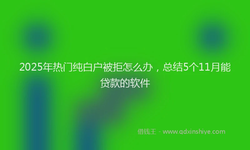 2025年热门纯白户被拒怎么办，总结5个11月能贷款的软件