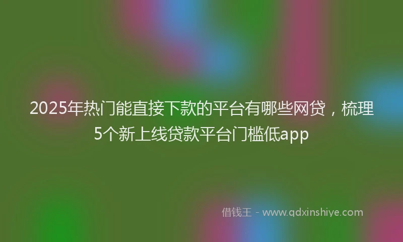 2025年热门能直接下款的平台有哪些网贷，梳理5个新上线贷款平台门槛低app