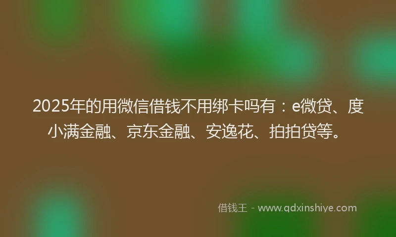 2025年的用微信借钱不用绑卡吗有：e微贷、度小满金融、京东金融、安逸花、拍拍贷等。