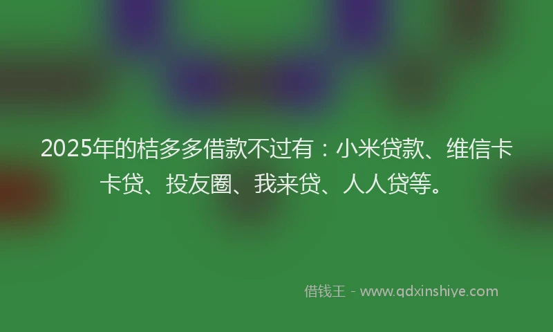 2025年的桔多多借款不过有：小米贷款、维信卡卡贷、投友圈、我来贷、人人贷等。