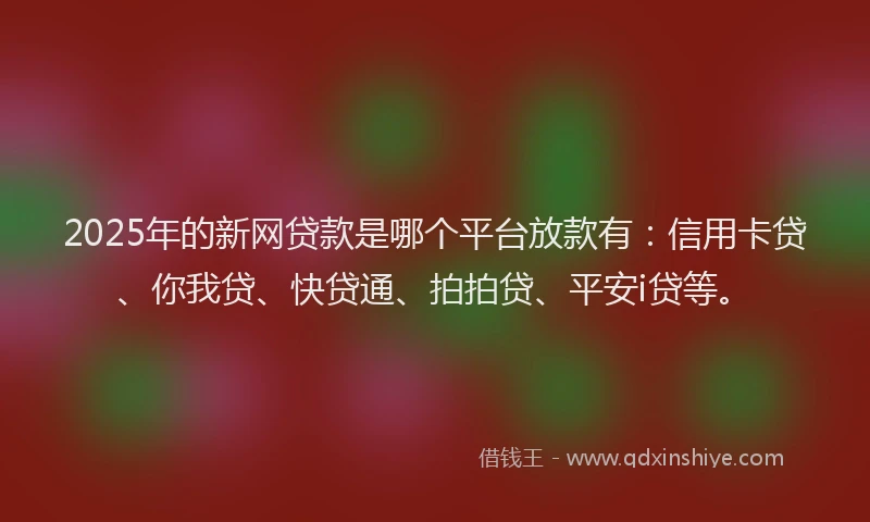 2025年的新网贷款是哪个平台放款有：信用卡贷、你我贷、快贷通、拍拍贷、平安i贷等。