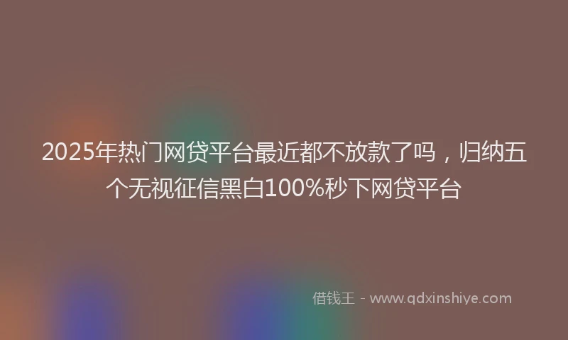 2025年热门网贷平台最近都不放款了吗，归纳五个无视征信黑白100%秒下网贷平台