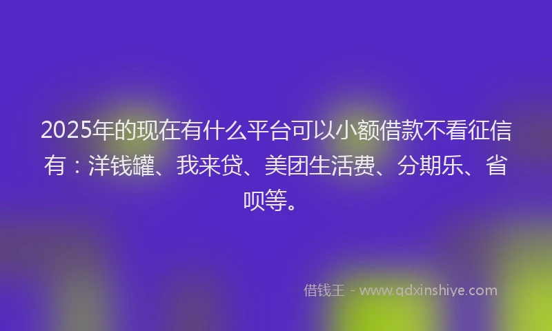 2025年的现在有什么平台可以小额借款不看征信有：洋钱罐、我来贷、美团生活费、分期乐、省呗等。