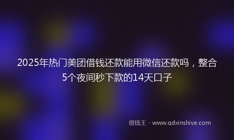 2025年热门美团借钱还款能用微信还款吗,整合5个夜间秒下款的14天口子