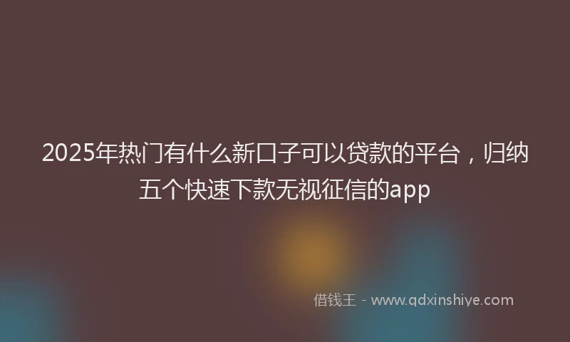 2025年热门有什么新口子可以贷款的平台，归纳五个快速下款无视征信的app