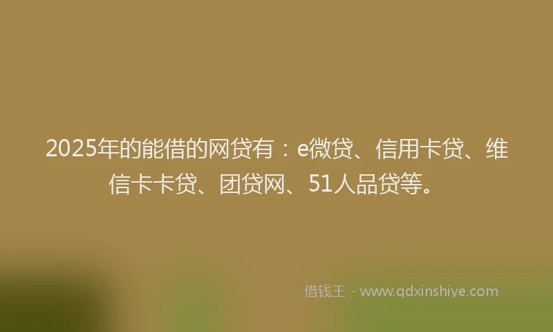 2025年的能借的网贷有：e微贷、信用卡贷、维信卡卡贷、团贷网、51人品贷等。