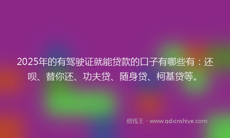 2025年的有驾驶证就能贷款的口子有哪些有：还呗、替你还、功夫贷、随身贷、柯基贷等。
