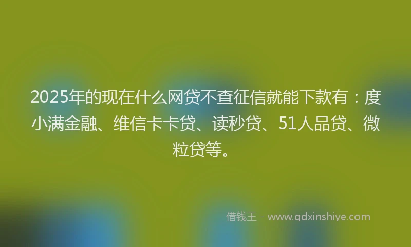 2025年的现在什么网贷不查征信就能下款有：度小满金融、维信卡卡贷、读秒贷、51人品贷、微粒贷等。