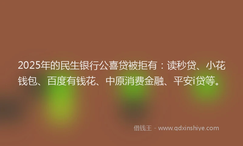 2025年的民生银行公喜贷被拒有：读秒贷、小花钱包、百度有钱花、中原消费金融、平安i贷等。