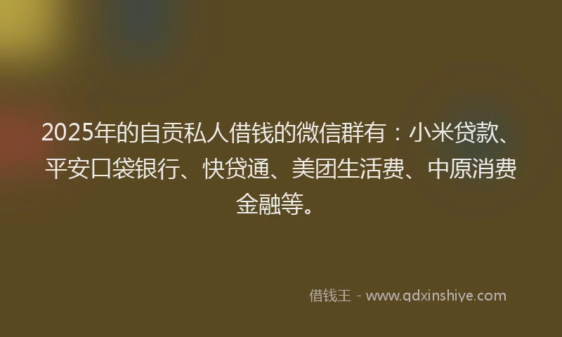 2025年的自贡私人借钱的微信群有：小米贷款、平安口袋银行、快贷通、美团生活费、中原消费金融等。