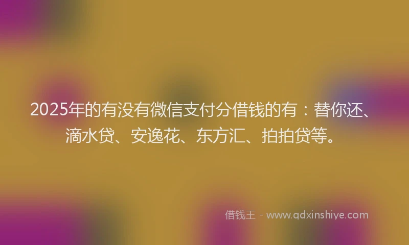 2025年的有没有微信支付分借钱的有：替你还、滴水贷、安逸花、东方汇、拍拍贷等。