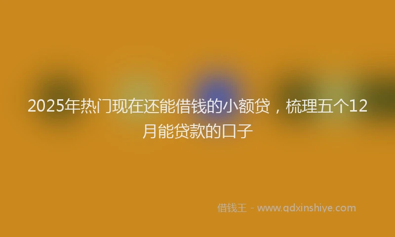 2025年热门现在还能借钱的小额贷，梳理五个12月能贷款的口子