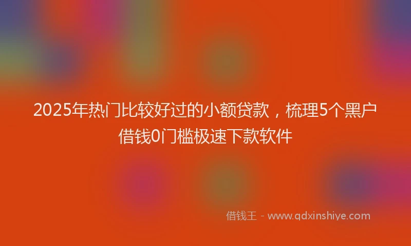 2025年热门比较好过的小额贷款，梳理5个黑户借钱0门槛极速下款软件