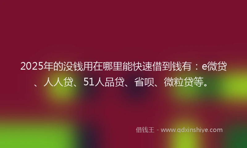 2025年的没钱用在哪里能快速借到钱有：e微贷、人人贷、51人品贷、省呗、微粒贷等。