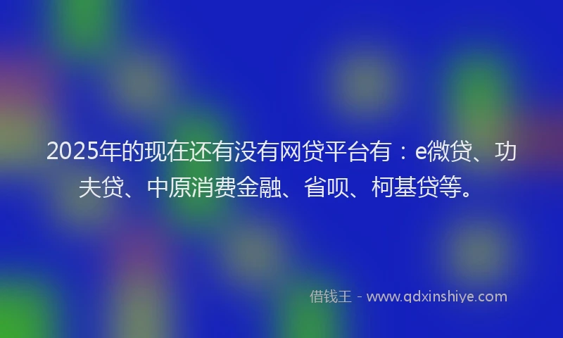 2025年的现在还有没有网贷平台有：e微贷、功夫贷、中原消费金融、省呗、柯基贷等。