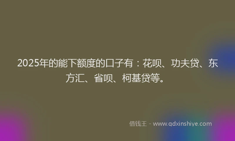 2025年的能下额度的口子有：花呗、功夫贷、东方汇、省呗、柯基贷等。