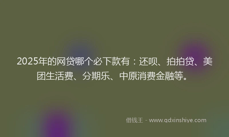 2025年的网贷哪个必下款有：还呗、拍拍贷、美团生活费、分期乐、中原消费金融等。