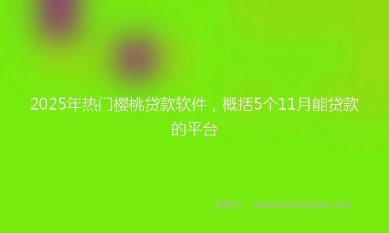 2025年热门樱桃贷款软件，概括5个11月能贷款的平台