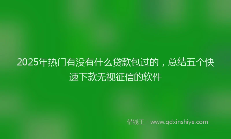 2025年热门有没有什么贷款包过的，总结五个快速下款无视征信的软件
