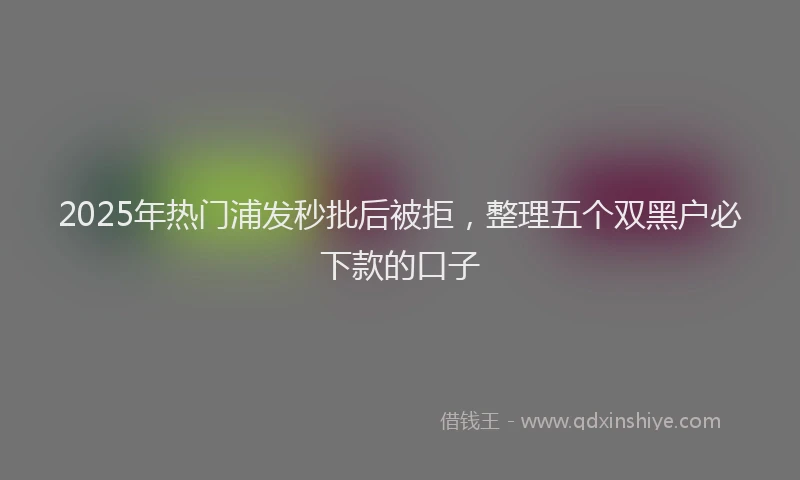 2025年热门浦发秒批后被拒，整理五个双黑户必下款的口子