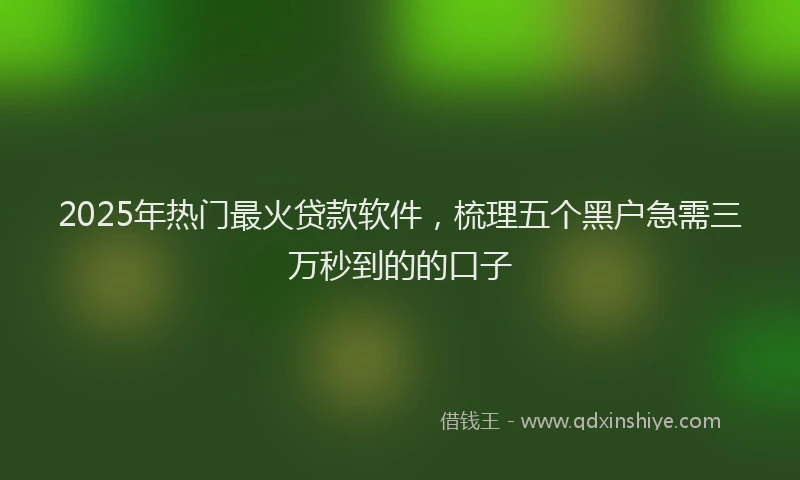 2025年热门最火贷款软件，梳理五个黑户急需三万秒到的的口子