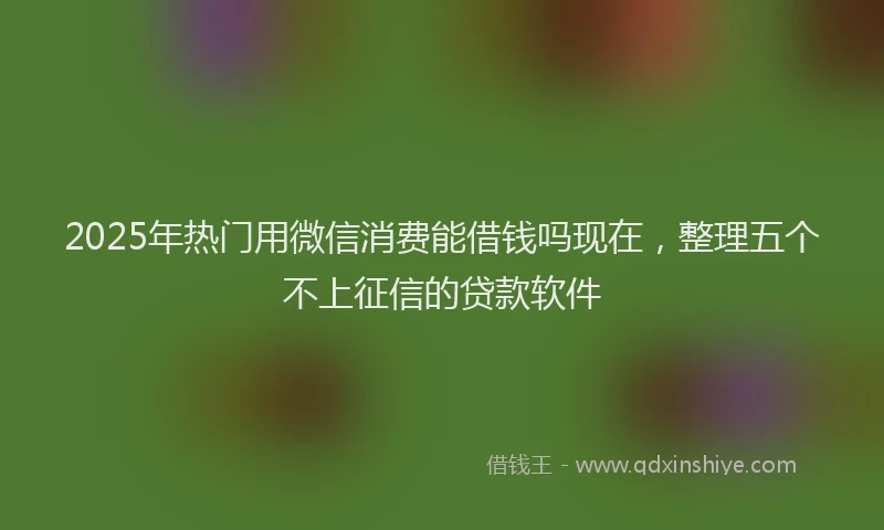 2025年热门用微信消费能借钱吗现在，整理五个不上征信的贷款软件