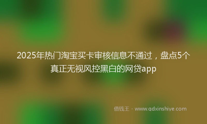2025年热门淘宝买卡审核信息不通过，盘点5个真正无视风控黑白的网贷app