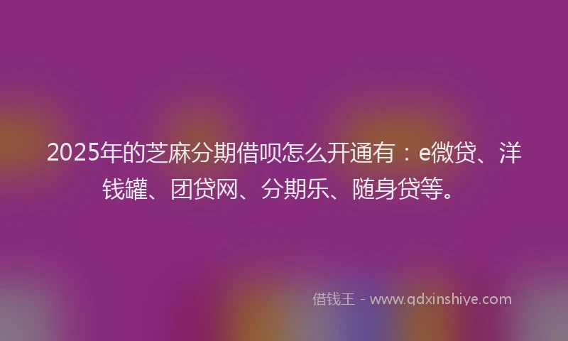 2025年的芝麻分期借呗怎么开通有：e微贷、洋钱罐、团贷网、分期乐、随身贷等。