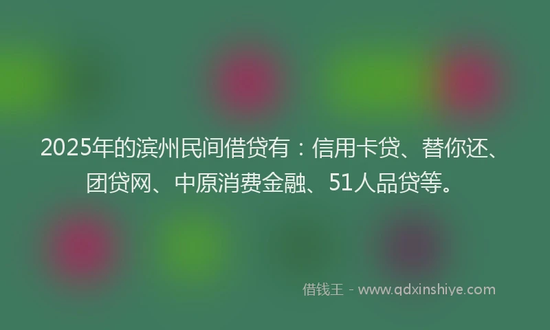 2025年的滨州民间借贷有：信用卡贷、替你还、团贷网、中原消费金融、51人品贷等。