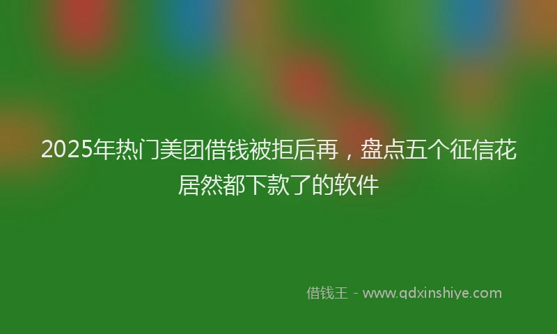 2025年热门美团借钱被拒后再，盘点五个征信花居然都下款了的软件