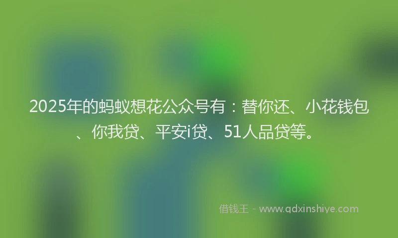 2025年的蚂蚁想花公众号有：替你还、小花钱包、你我贷、平安i贷、51人品贷等。