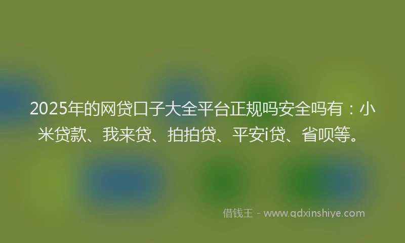 2025年的网贷口子大全平台正规吗安全吗有：小米贷款、我来贷、拍拍贷、平安i贷、省呗等。