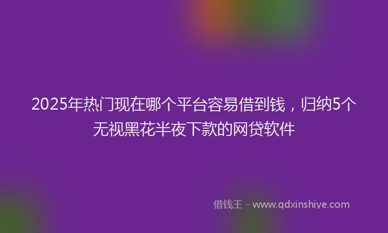 2025年热门现在哪个平台容易借到钱，归纳5个无视黑花半夜下款的网贷软件