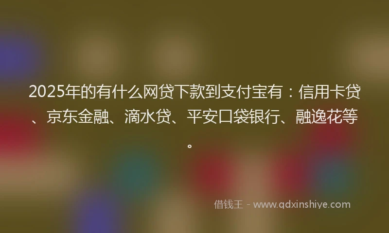 2025年的有什么网贷下款到支付宝有：信用卡贷、京东金融、滴水贷、平安口袋银行、融逸花等。