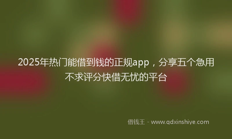 2025年热门能借到钱的正规app，分享五个急用不求评分快借无忧的平台