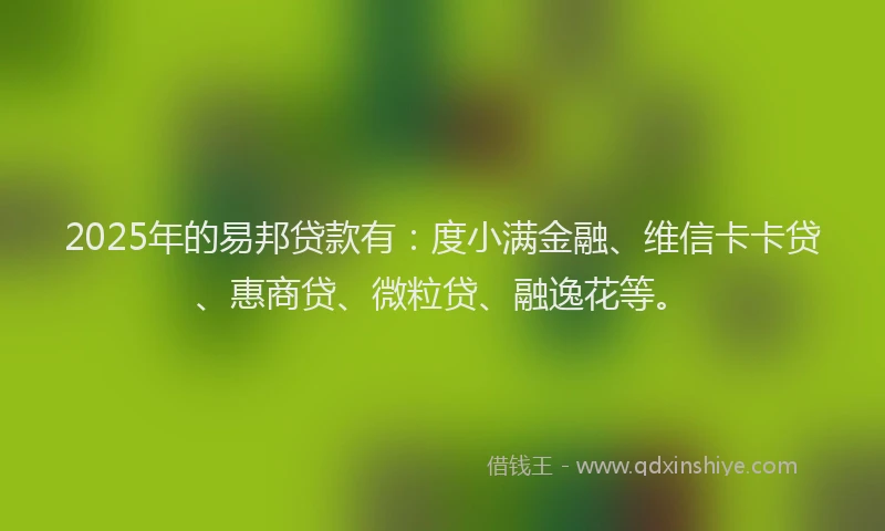 2025年的易邦贷款有：度小满金融、维信卡卡贷、惠商贷、微粒贷、融逸花等。